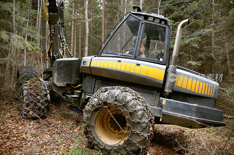 森林里的Feller buncher